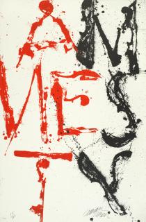 Arman - Amnesty International