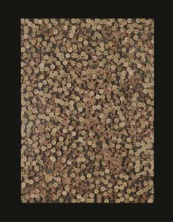 Arman - Iris d\'Octopus