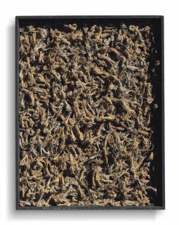 Arman - La Fortune sourit aux audacieux (Fortune Favours the Brave)