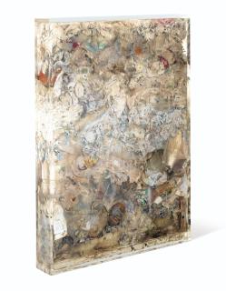 Arman - Poubelle Organiquetrashes In Polyester Resin And Plexiglass Box. Executed In 1973.