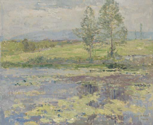Armand Adrein Marie Apol - Water lillies on a lake