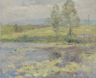 Armand Adrein Marie Apol - Water lillies on a lake