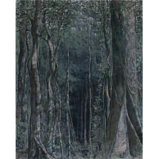 Armando Morales - Forêt Tropicale