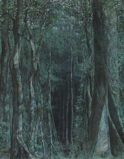 Armando Morales - Forêt tropicale