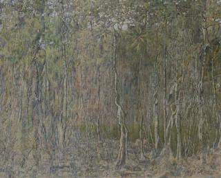 Armando Morales - Forêt