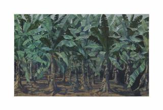 Armando Morales - Platanal