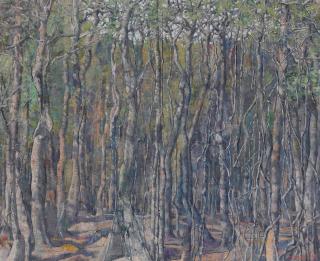 Armando Morales - Selva tropical (xérophile) II