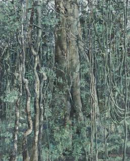 Armando Morales - Selva