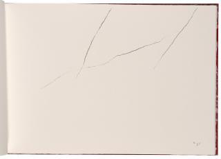 Armando - der Zaun (The Fence)