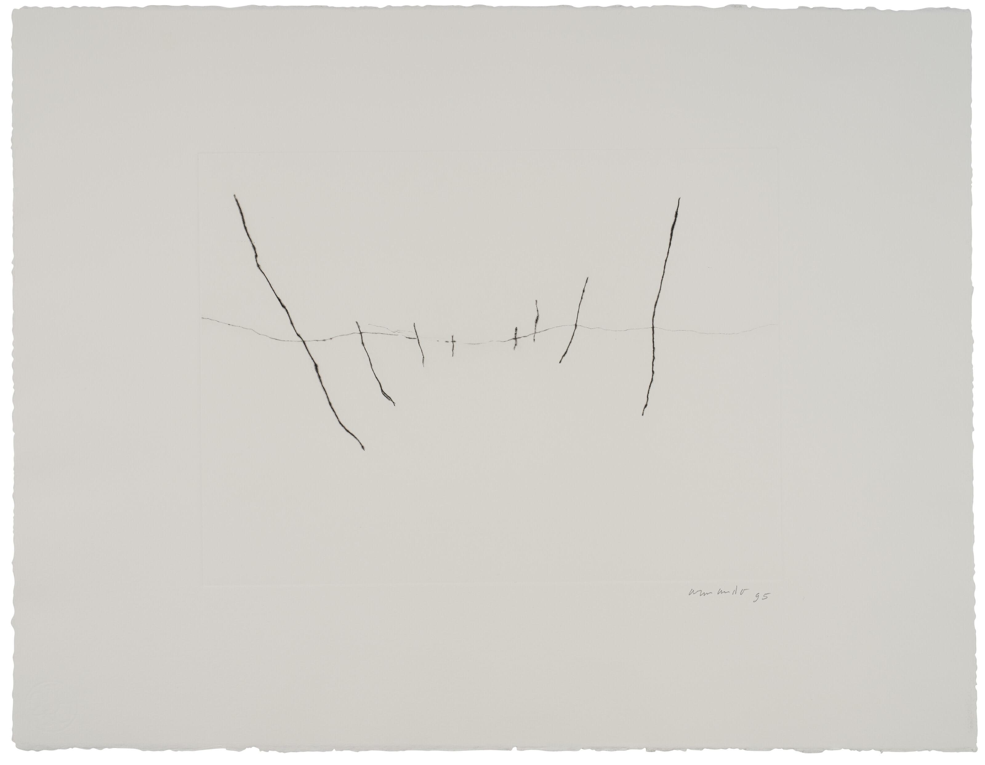 Armando - der Zaun (The Fence)