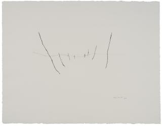 Armando - der Zaun (The Fence)