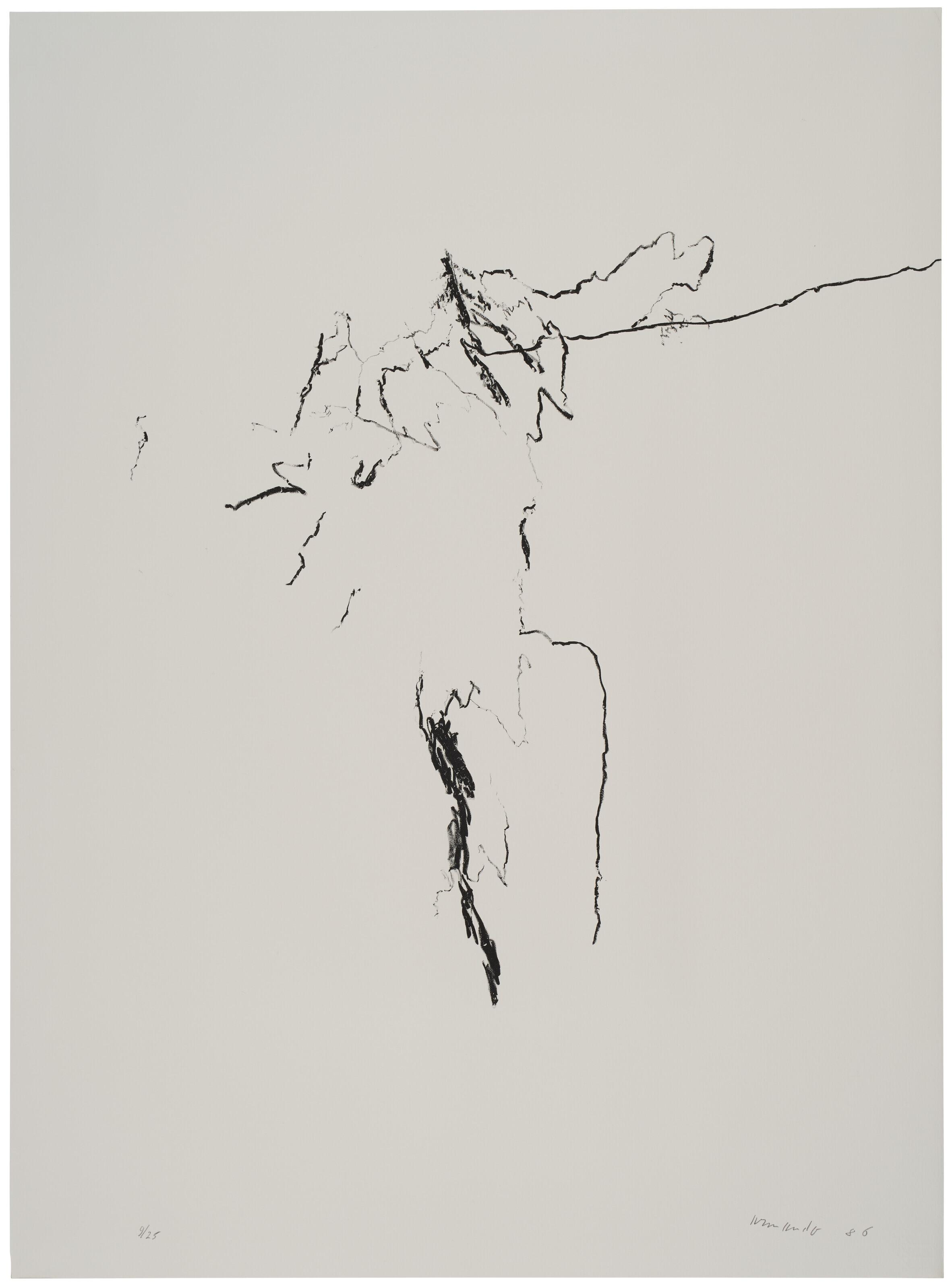 Armando - Gefechtsfeld (Battlefield)