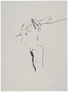 Armando - Gefechtsfeld (Battlefield)