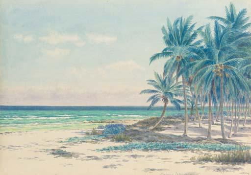 Armin Buchterkirch - Bahama Islands