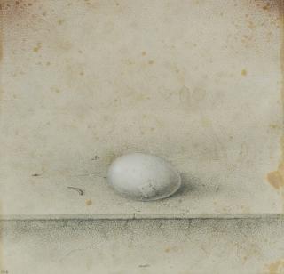 Armodio - Ovo grigio guarito