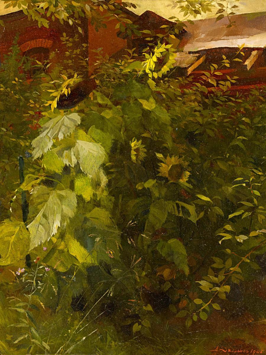 Arno Drescher - Sonnenblumen.