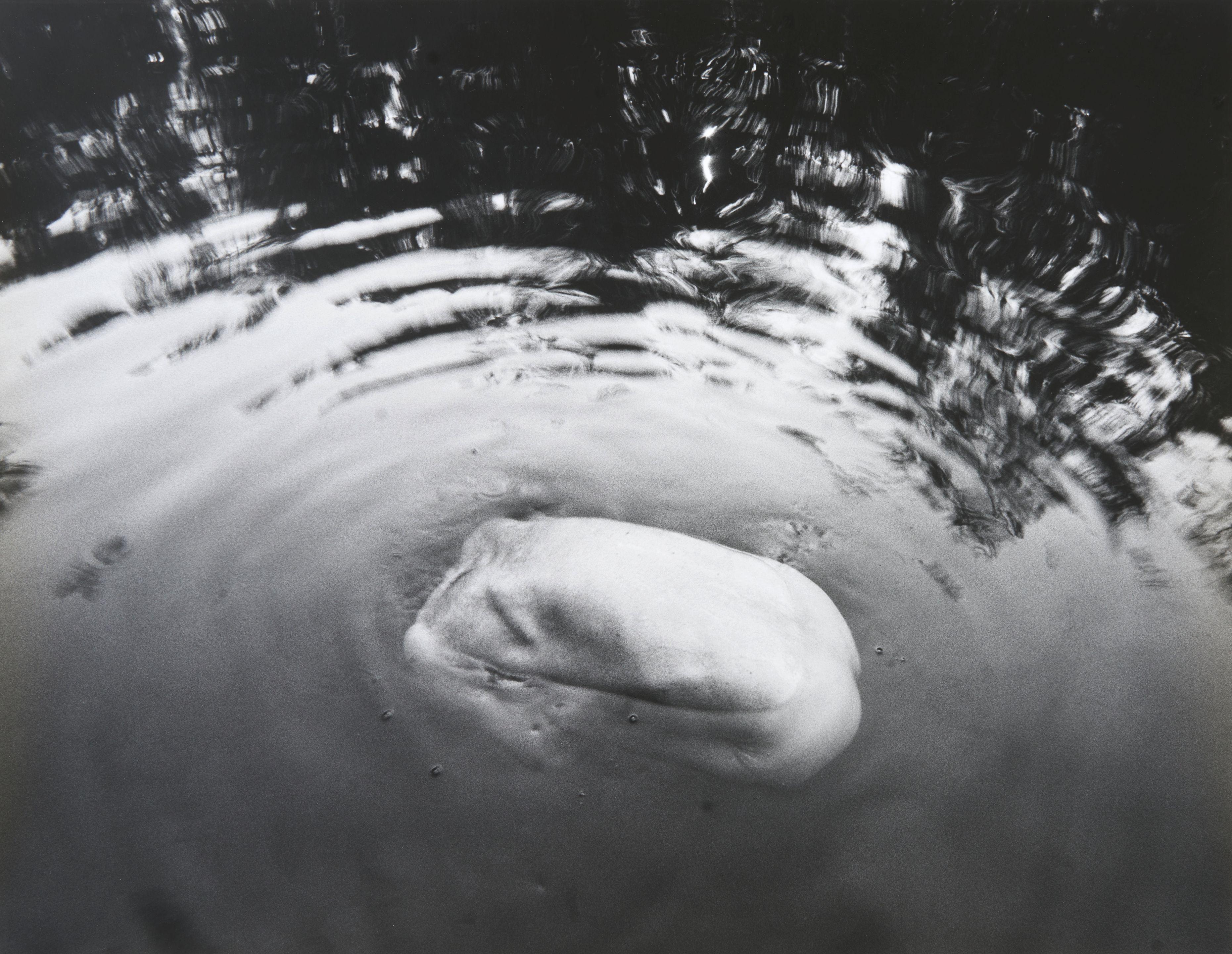 Arno Rafael Minkkinen - Waiting for the Snake, Jianfengling, Nature Preserve, Hainan Island, China