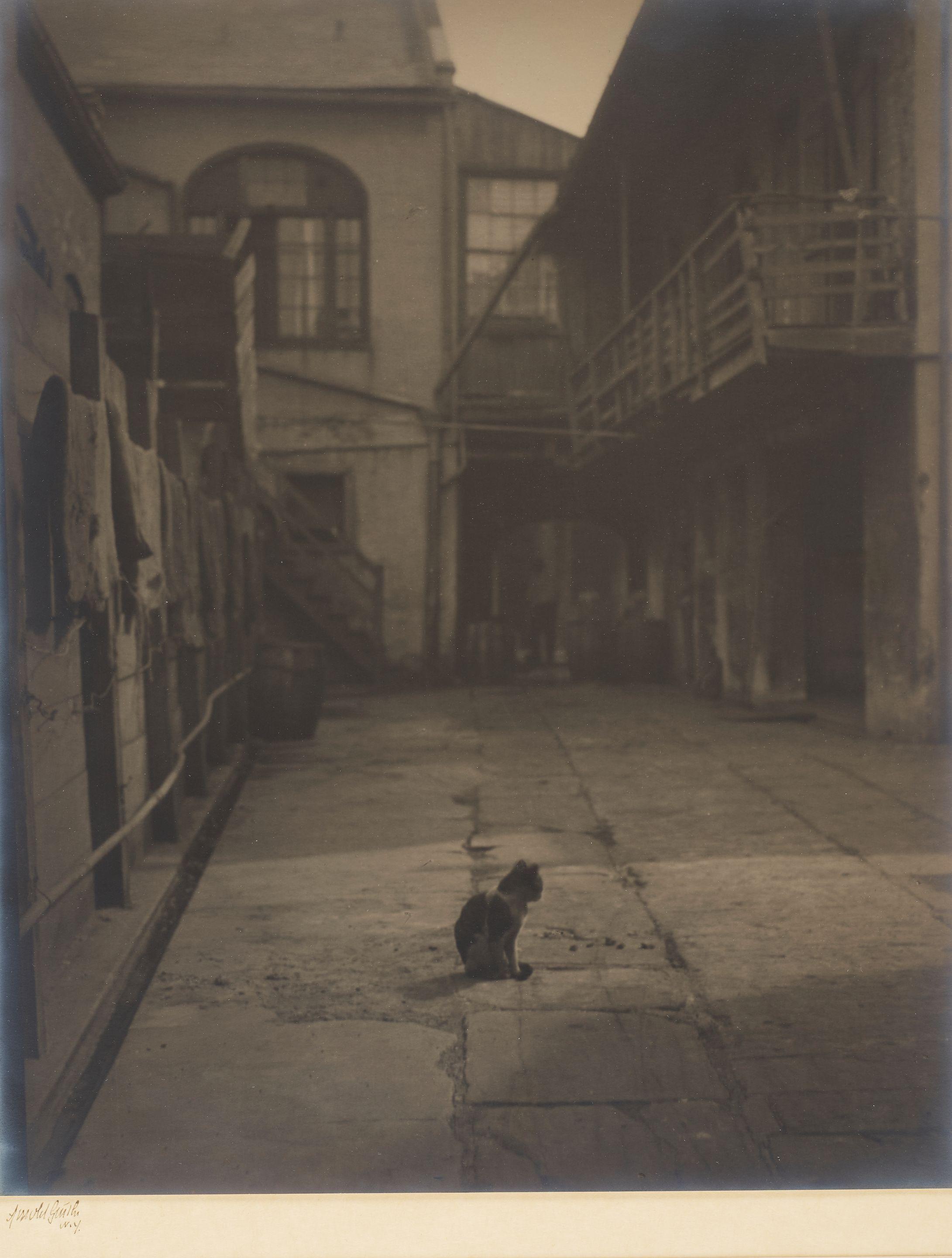 Arnold Genthe - Courtyard with Cat, New Orleans, Louisiana, c. 1900- 1925