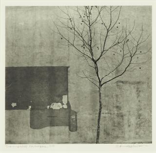 Arnold Newman - \'Tree and Wall, Philadelphia\'