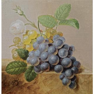 Arnoldus Bloemers - Dutch A Still Life With Grapes