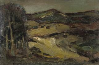 Arnout Colnot - A Dune Landscape