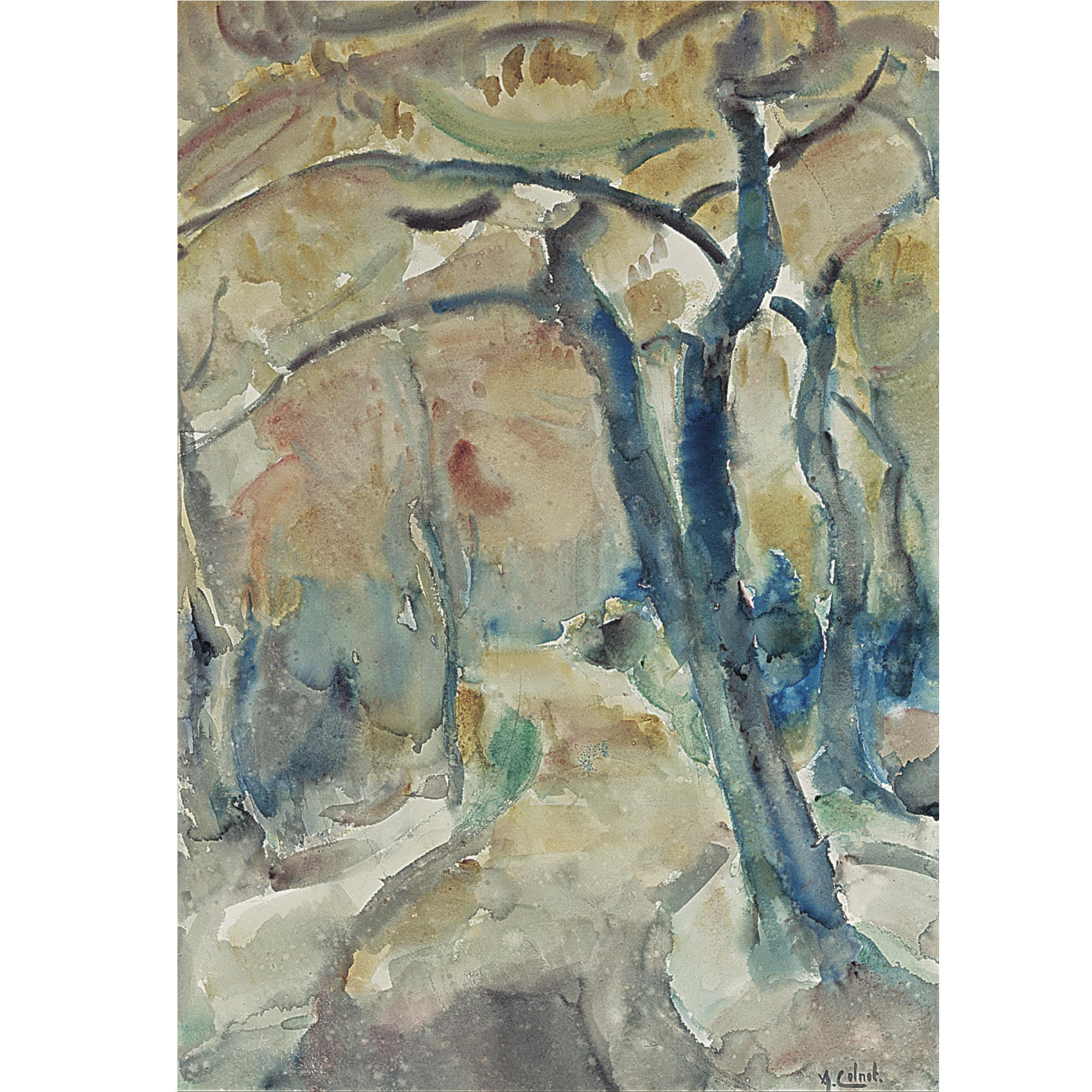 Arnout Colnot - Het Bergersbos