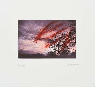 Arnulf Rainer - Ohne Titel.