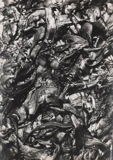 Arnulf Rainer - Perspektiven der Vernichtung (Gemeinschaftsarbeit mit Wolfgang Kudrnofsky)