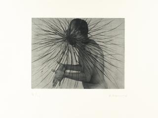 Arnulf Rainer - Wundzentralisation