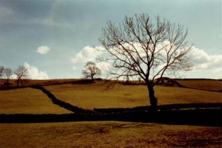 Art Sinsabaugh - Four Landscapes, 1979-1980