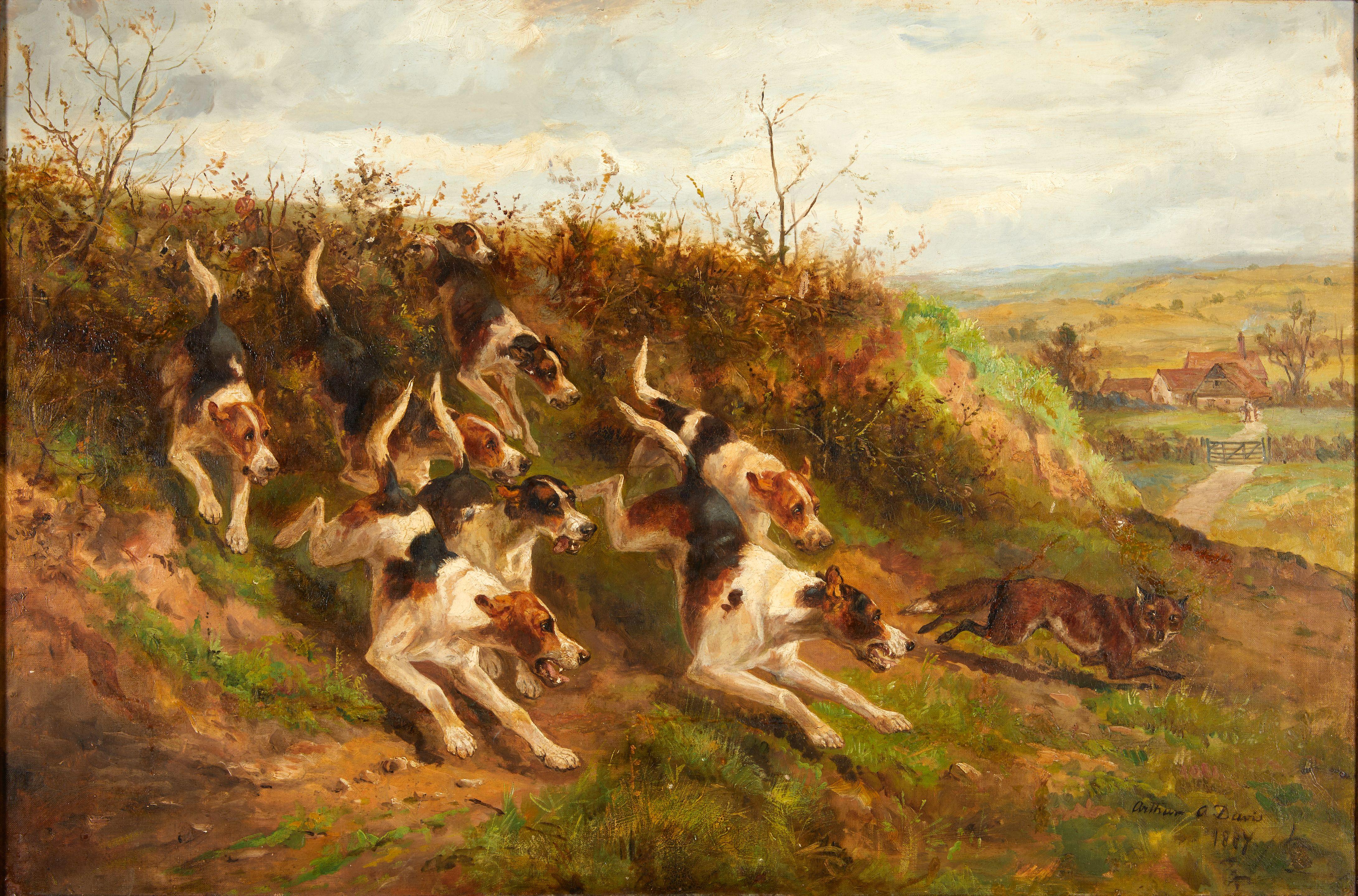 Arthur A. Davis - Fox Persued by Hounds framed 80.3 x 111.0 x 7.0 cm (31 5/8 x 43 11/16 x 2 3/4 in).