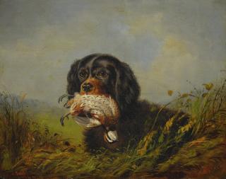 Arthur Fitzwilliam Tait - Cocker Spaniel And Ruffled Grouse 