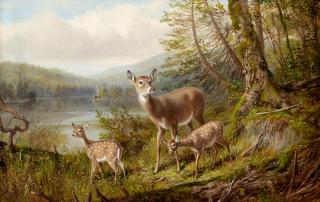 Arthur Fitzwilliam Tait - Doe and Fawns