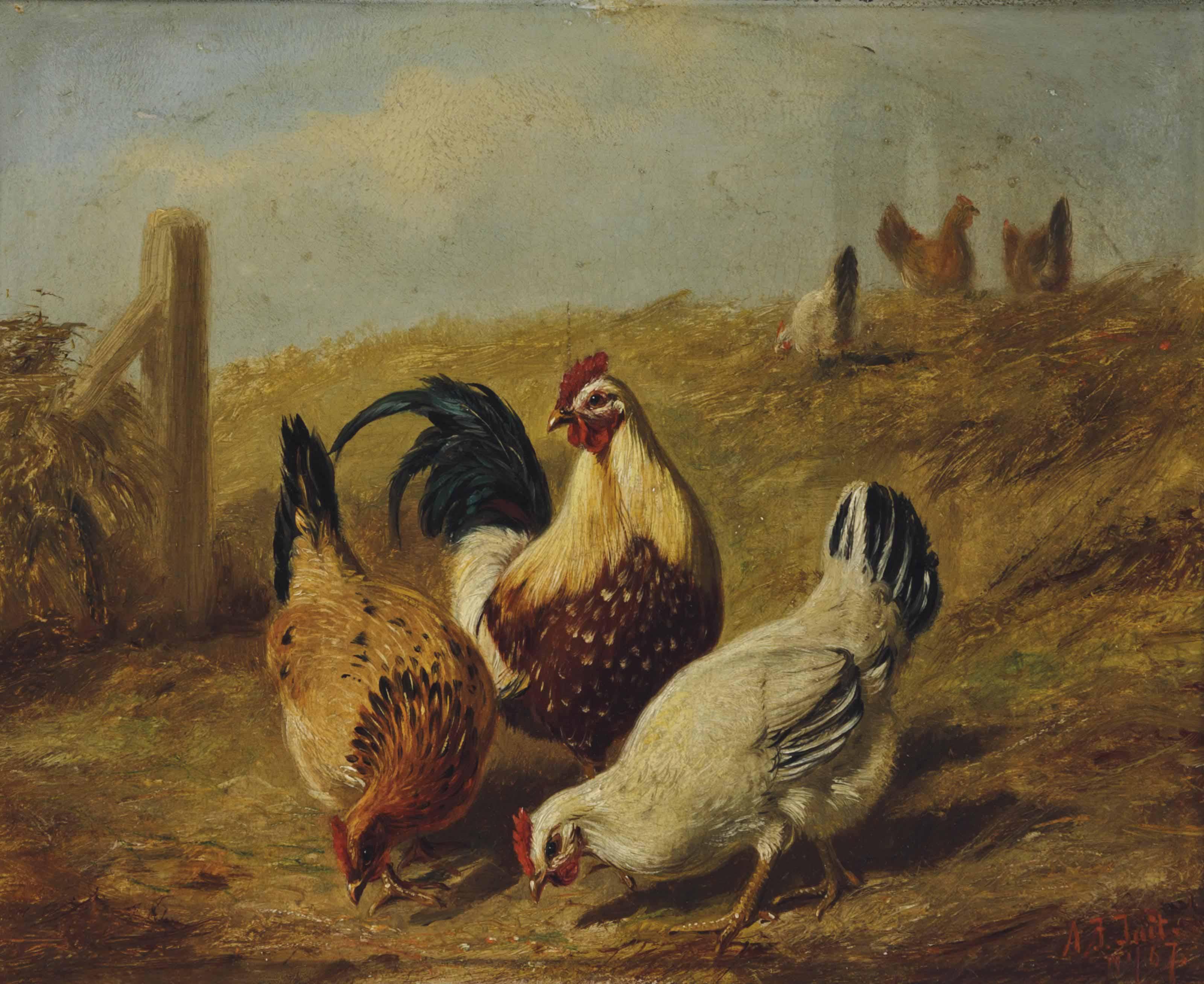 Arthur Fitzwilliam Tait - Fowls