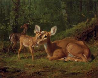 Arthur Fitzwilliam Tait - Maternal Affection