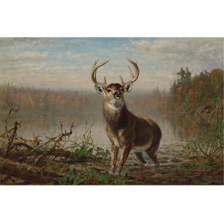 Arthur Fitzwilliam Tait - On The Alert