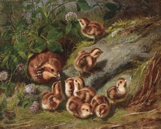 Arthur Fitzwilliam Tait - Quail and Young