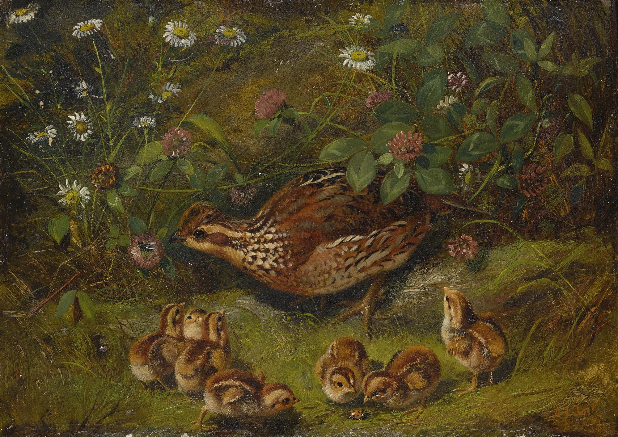 Arthur Fitzwilliam Tait - Quail