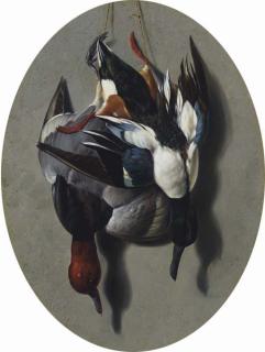 Arthur Fitzwilliam Tait - Redhead and Shoveler