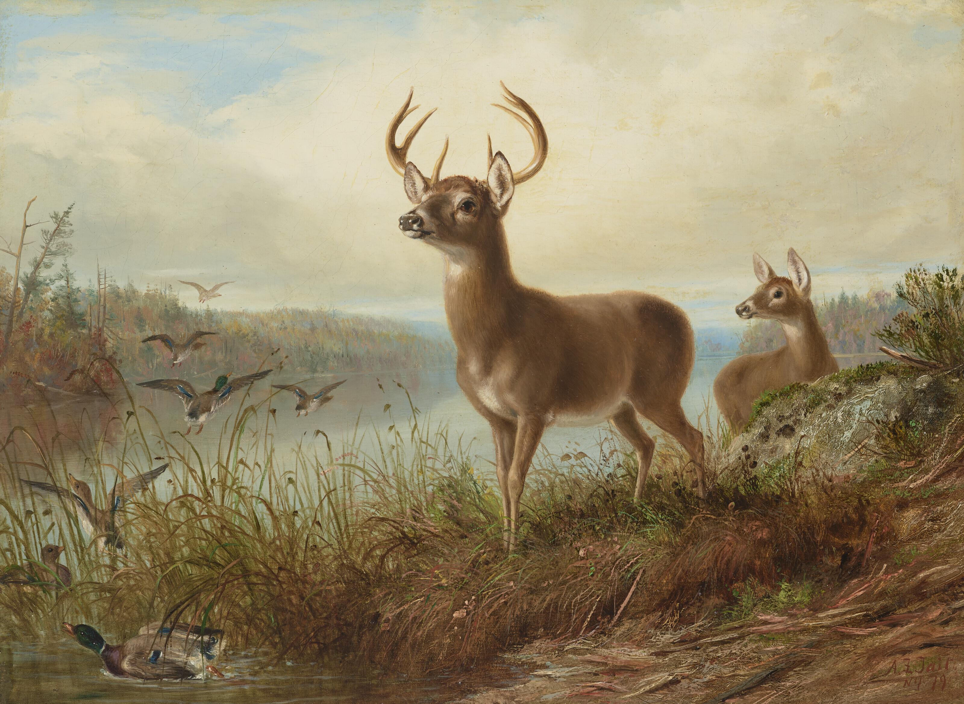 Arthur Fitzwilliam Tait - The Surprise