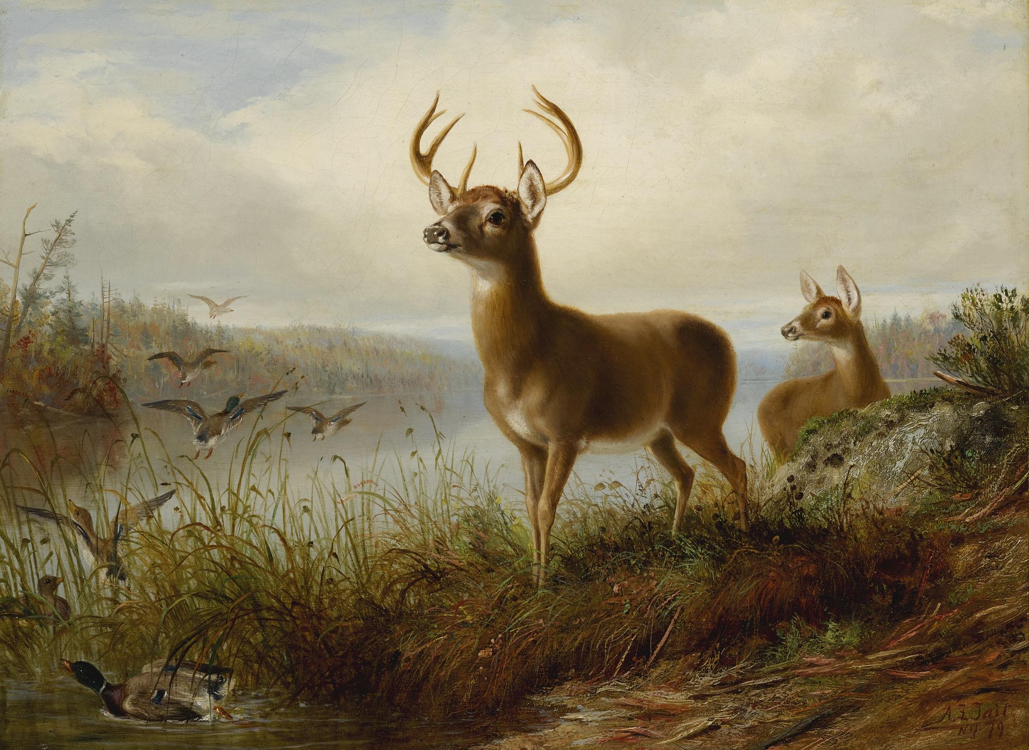 Arthur Fitzwilliam Tait - The Surprise