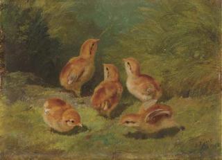 Arthur Fitzwilliam Tait - Young Grouse