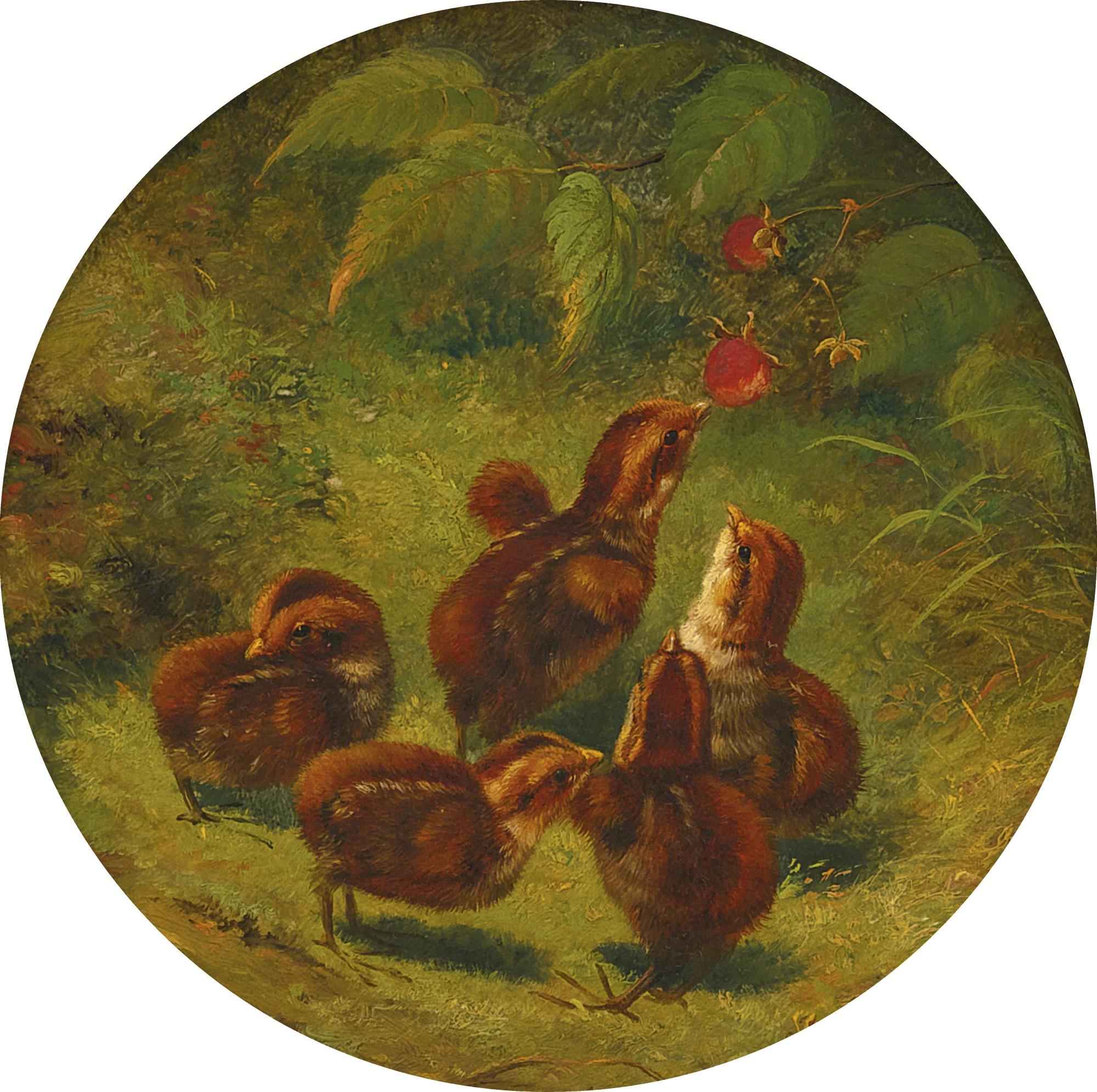 Arthur Fitzwilliam Tait - Young Ruffed Grouse