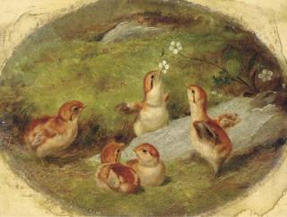 Arthur Fitzwilliam Tait - Young Ruffed Grouse