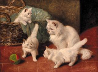 Arthur Heyer - A family of cats at play