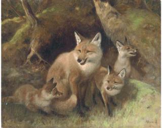 Arthur Heyer - A Fox With Cubs