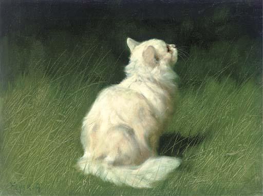 Arthur Heyer - A Persian cat in a garden