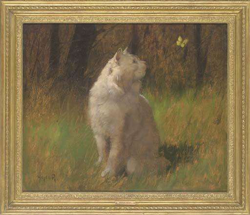 Arthur Heyer - A watchful eye