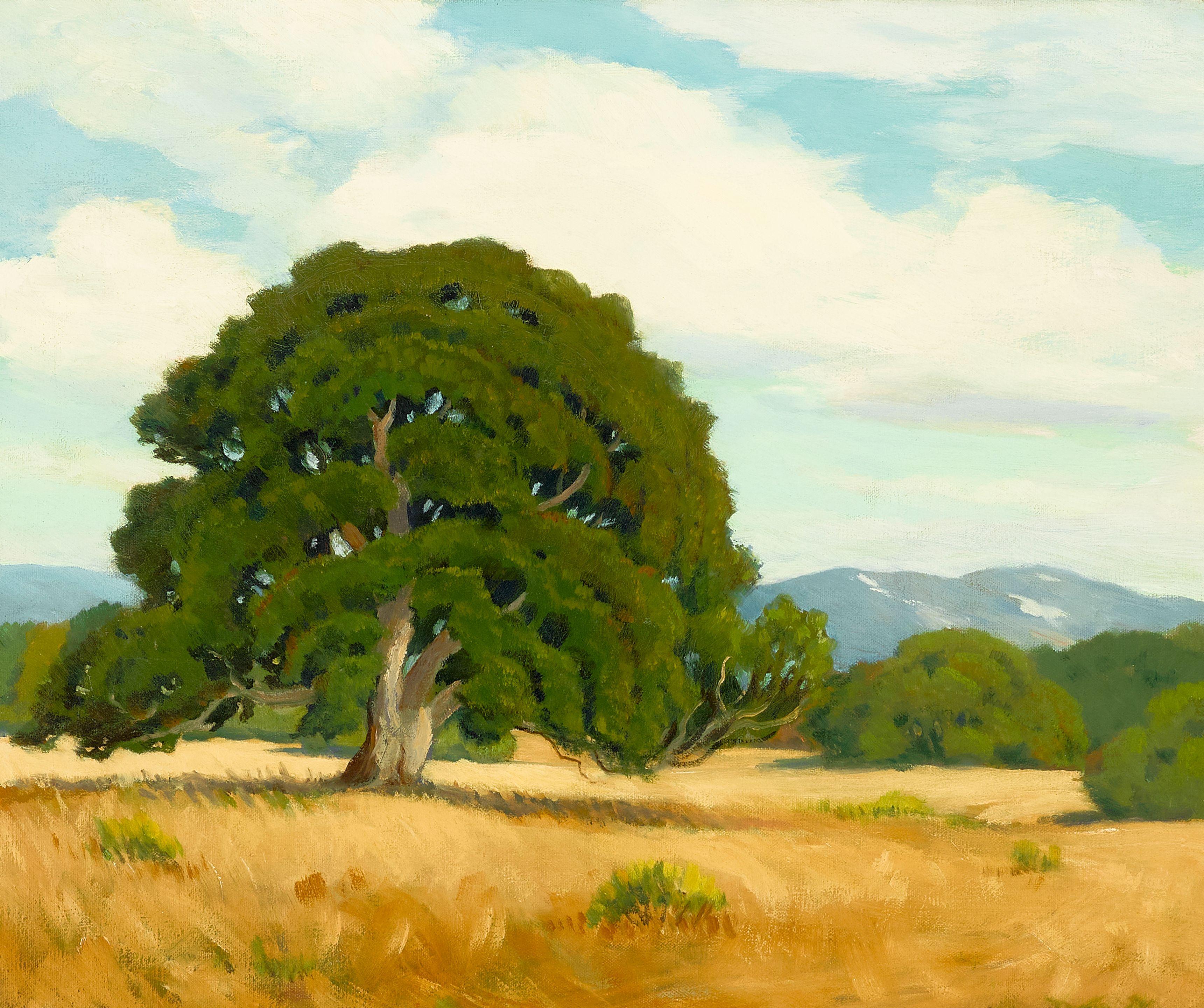 Arthur Hill Gilbert - Monterey Oaks
