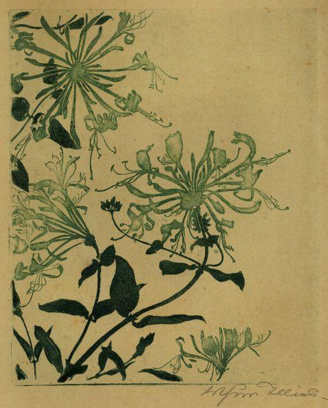 Arthur Illies - 2 Bll.: Jelänger-Jelieber. Selbstbild